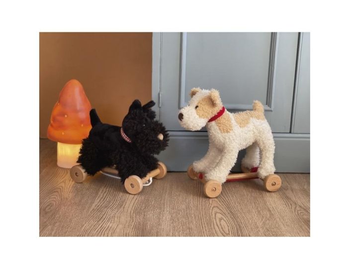 EGMONT TOYS Walter le Chien � Tirer - D�s 12 mois (2)