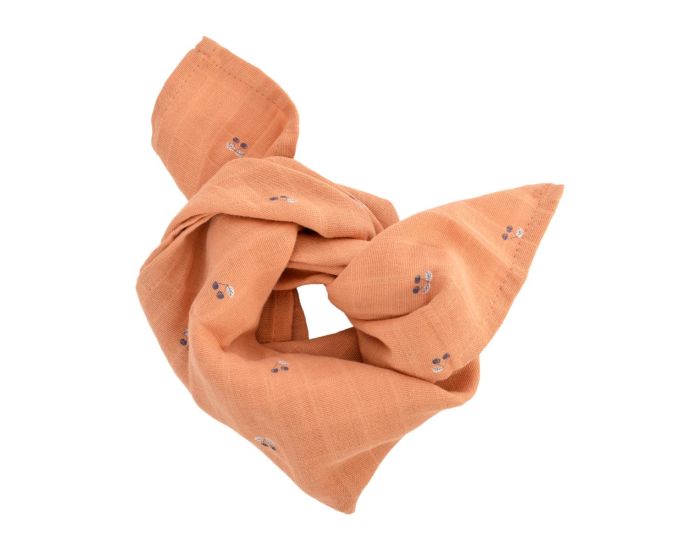 LITTLE CREVETTE Lot de 3 Langes Bb - Automne (2)