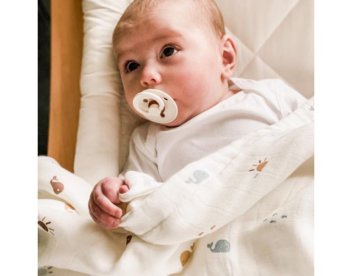 LITTLE CREVETTE Couverture B�b� Double-Gaze - Malo (1)