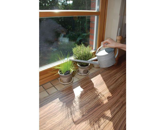 ESSCHERT DESIGN Arrosoir d'Int�rieur en Zinc - 1,6 L - D�s 3 ans (1)