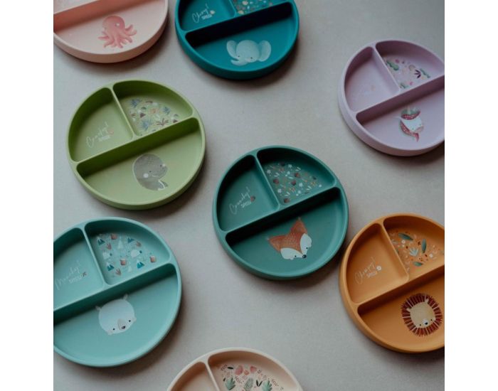 SASSI JUNIOR Assiette Compartiment�e en Silicone avec Ventouse - Animaux (5)