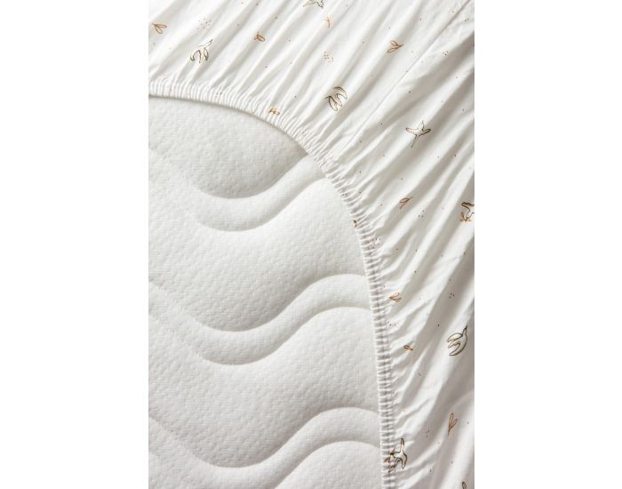 KADOLIS Drap Housse Coton Bio pour Lit B�b� - L'Envol�e (4)