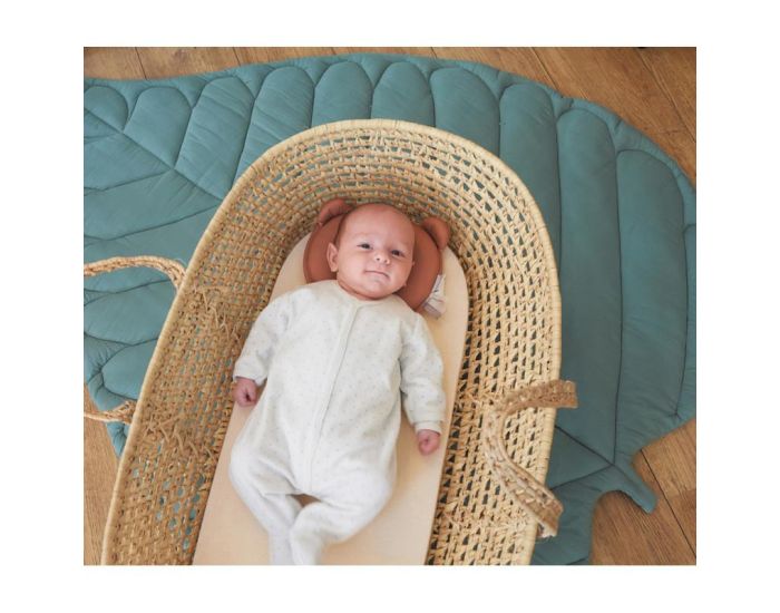 CANDIDE Petit Panda Air + Coussin Respirant Anti-T�te Plate (1)