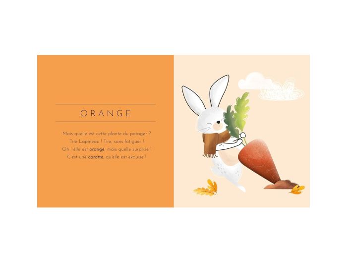 SASSI JUNIOR Livre Touche � Tout - Les Couleurs - D�s 2 ans  (1)