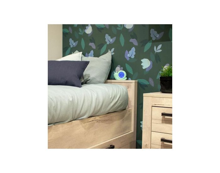 ALECTO R�veil Educatif Enfant Formateur de Sommeil - Escargot Simon - Vert (3)