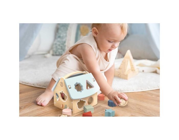 SPEEDY MONKEY Maison des Formes - 8 Blocs - D�s 12 mois  (1)