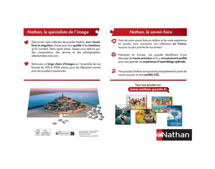 NATHAN Puzzle Les Monuments de Paris 1000 pcs - D�s 12 ans (3)