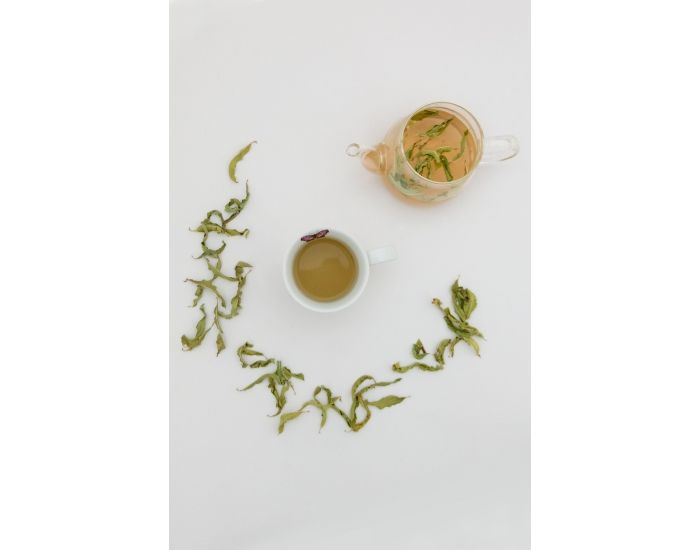 KADOLIS Plante vrac verveine BIO (6)