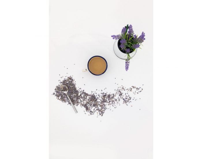 KADOLIS Plante vrac Lavande vraie BIO (2)