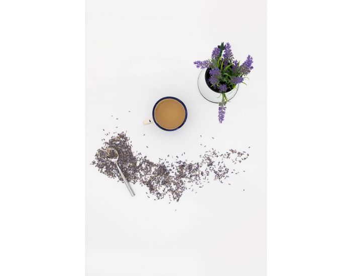 KADOLIS Plante vrac Lavande vraie BIO (6)