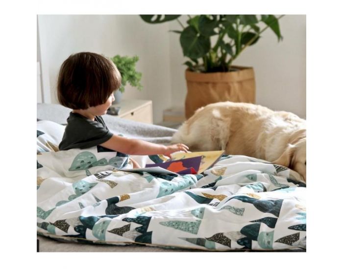 SEVIRA KIDS Couette 135x100 et Oreiller Enfant - Everest (11)