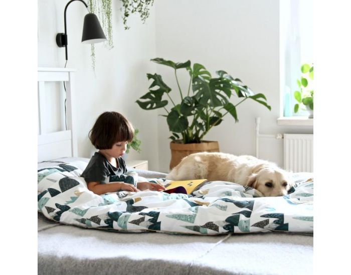 SEVIRA KIDS Couette 135x100 et Oreiller Enfant - Everest (23)