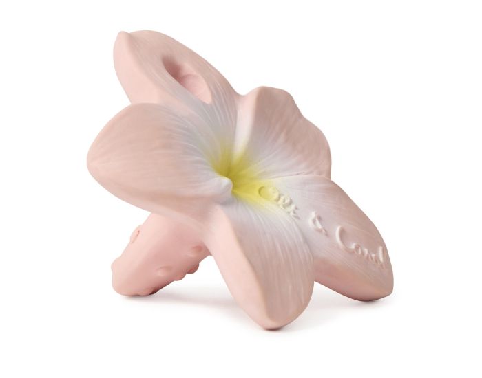 OLI ET CAROL Mini Anneau de Dentition - Fleur - D�s la naissance  (3)