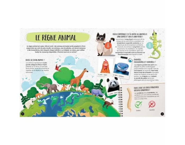 SASSI JUNIOR Coffret M�ga ATLAS des Animaux - D�s 6 ans (2)
