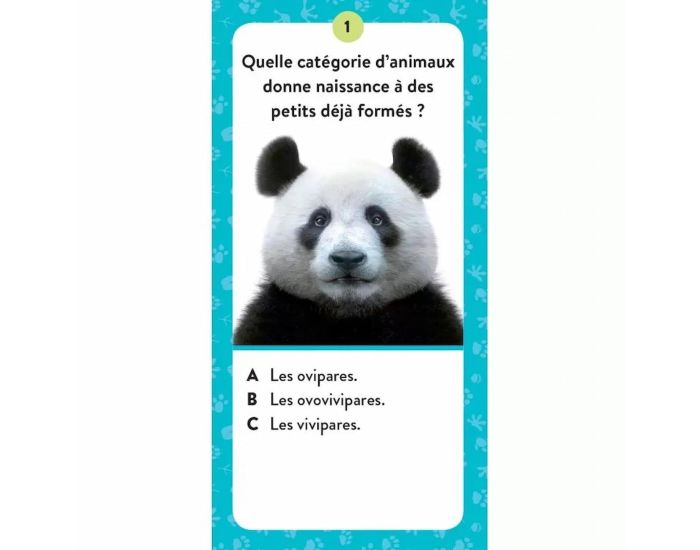 SASSI JUNIOR Coffret M�ga ATLAS des Animaux - D�s 6 ans (3)