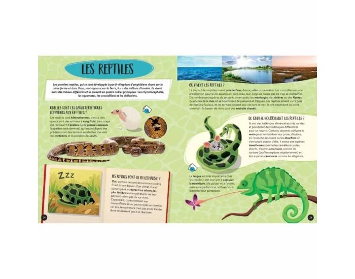 SASSI JUNIOR Coffret M�ga ATLAS des Animaux - D�s 6 ans (5)