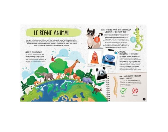 SASSI JUNIOR M�ga Atlas des Animaux - D�s 6 ans  (1)