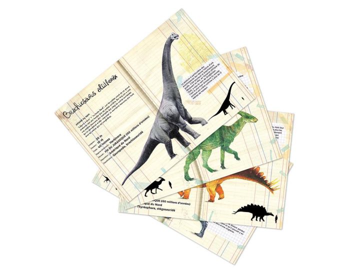 VILAC Coffret de 21 Magnets Dinosaures - D�s 3 ans  (2)