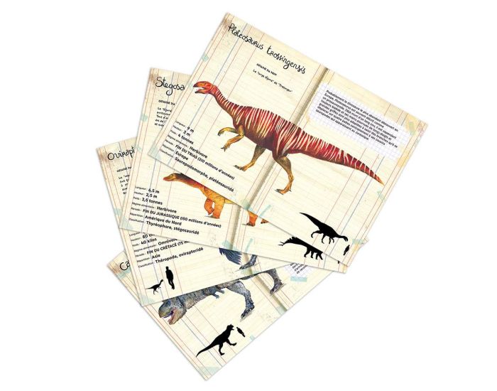 VILAC Coffret de 21 Magnets Dinosaures - D�s 3 ans  (3)