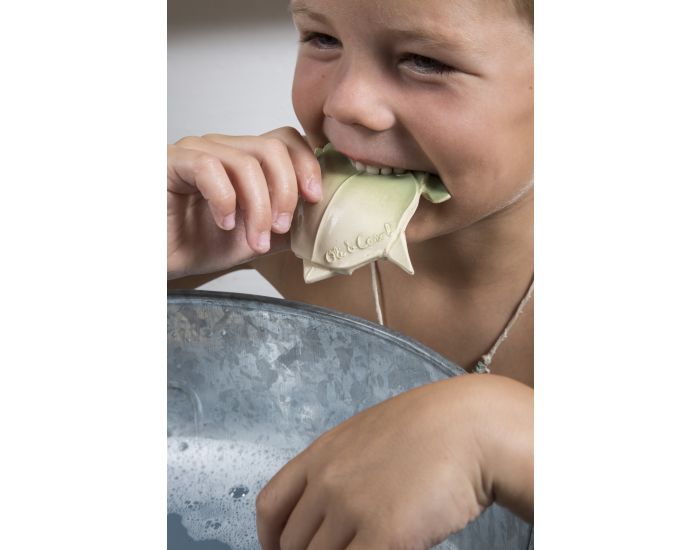 H2Origami Tortue - Jouet de dentition - D�s la naissance (5)