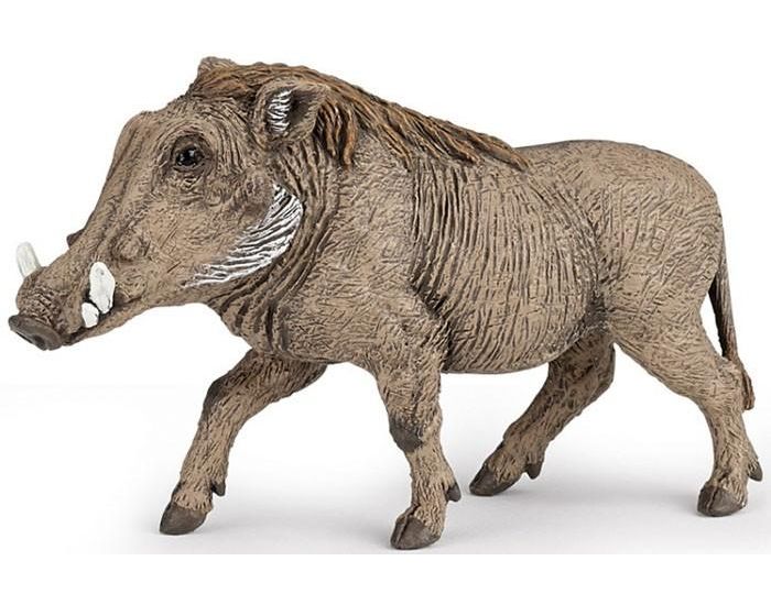 PAPO Papo Phacochere 50180 (1)