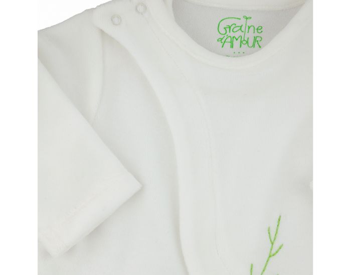 GRAINE D'AMOUR Brassire Velours (3)