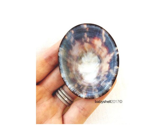 BABY SHELL Lot de 2 Coquillages d'allaitement en nacre (13)