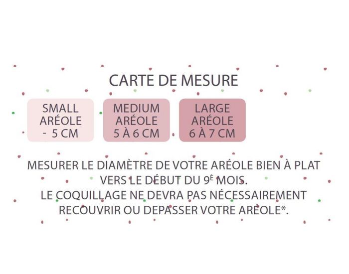 BABY SHELL Lot de 2 Coquillages d'allaitement en nacre (8)