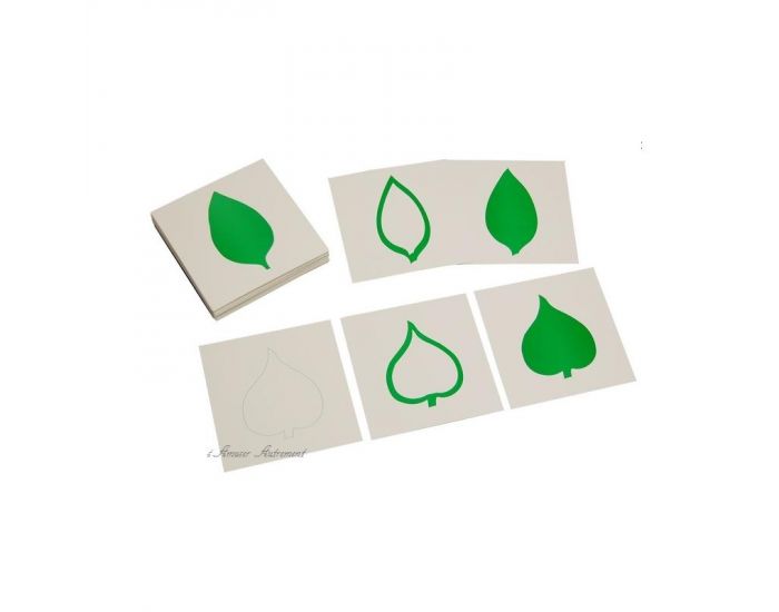 Carte de botanique - Ds 4 ans (1)