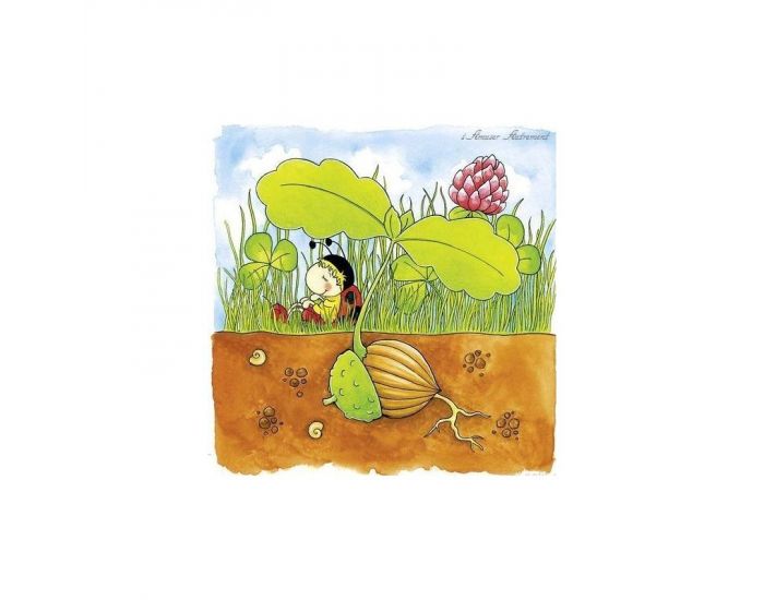 Puzzle cycle Arbre - D�s 3 ans (1)