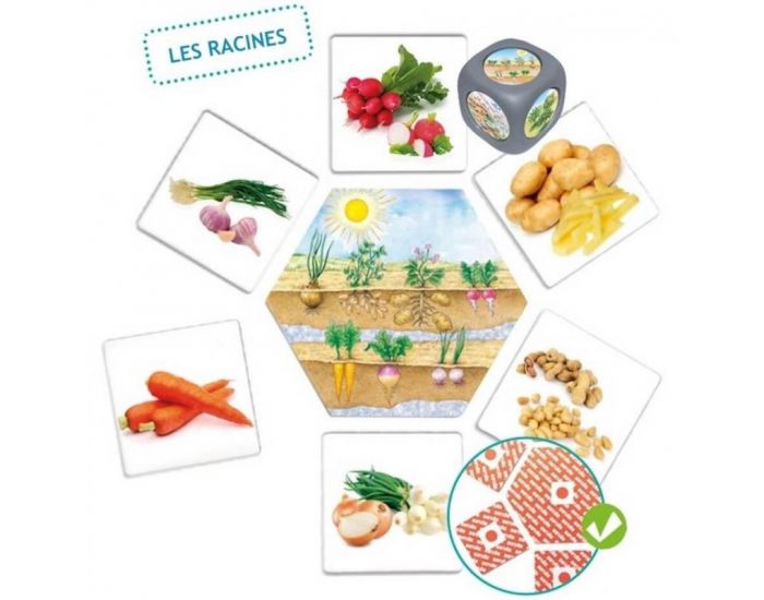 Jeu d'association les Aliments - Ds 3 ans (1)