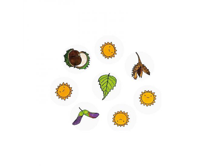 Tampons Feuilles et Fruits - Ds 3 ans (1)