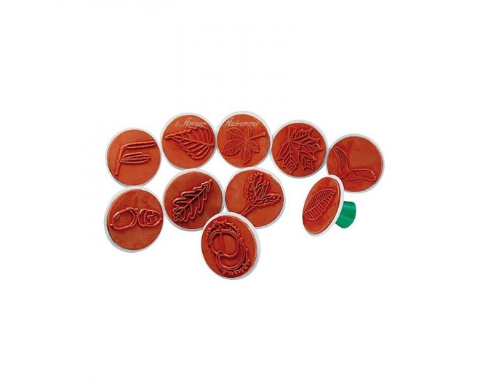 Tampons Feuilles et Fruits - Ds 3 ans (2)