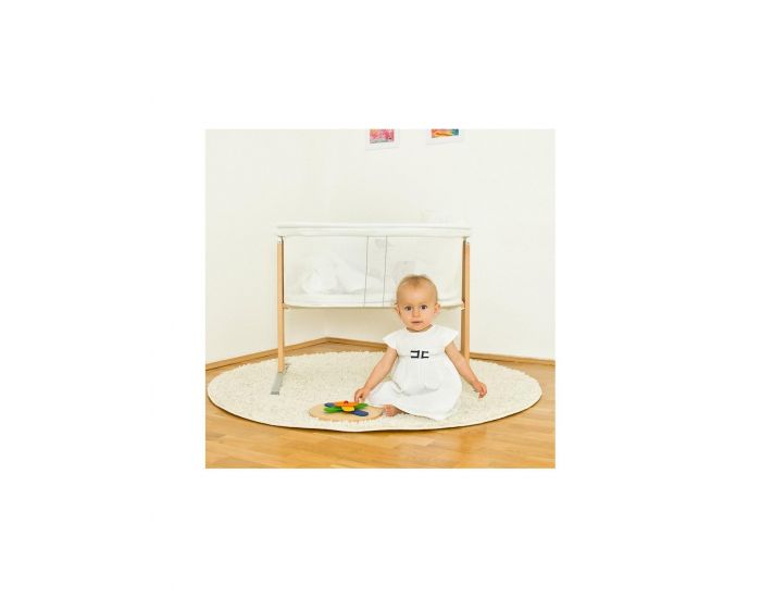 Panneau Mural H�lices - D�s 1 an  (4)