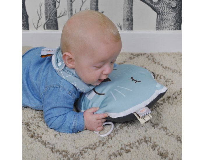 CAROTTE & CIE Coussin Musical Castor (2)