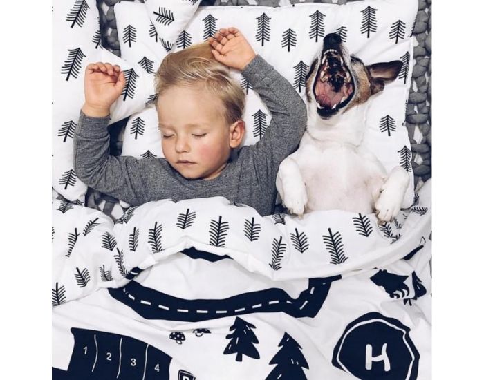 SEVIRA KIDS Couette 135x100 et Oreiller Enfant - Collection cool (20)