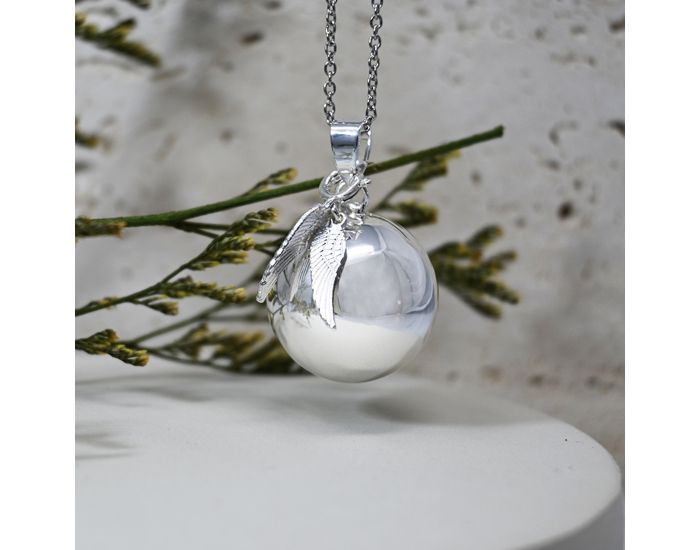 IRREVERSIBLE Bola de Grossesse (1)