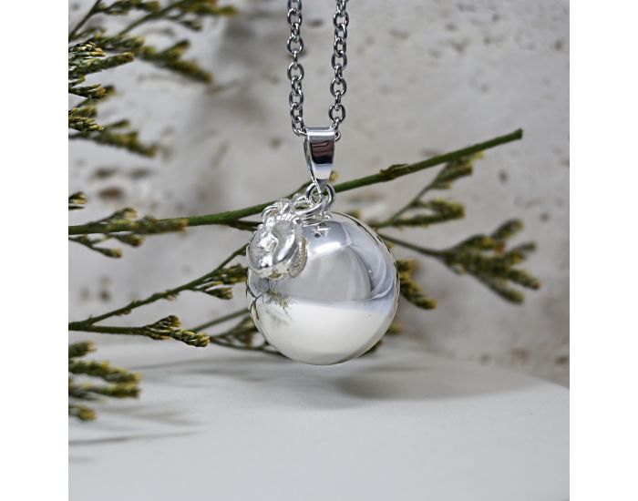 IRREVERSIBLE Bola de Grossesse (1)