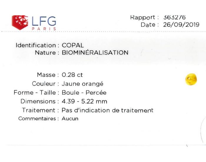 IRREVERSIBLE Collier d'Ambre Bb (6)