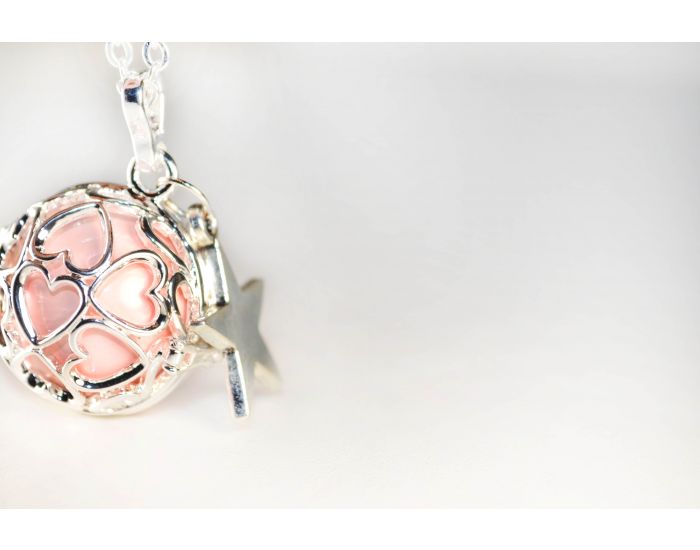 IRREVERSIBLE Bola de Grossesse Cage (2)