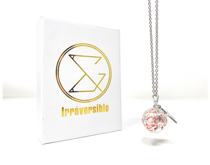 IRREVERSIBLE Bola de Grossesse Cage (3)