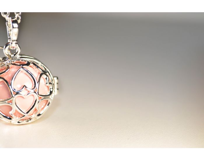 IRREVERSIBLE Bola de Grossesse Cage (5)