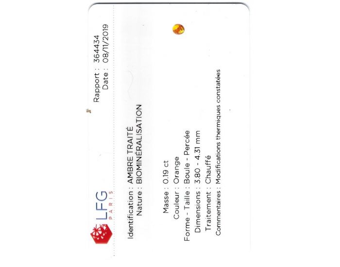 IRREVERSIBLE Bracelet d'Ambre Bb (8)