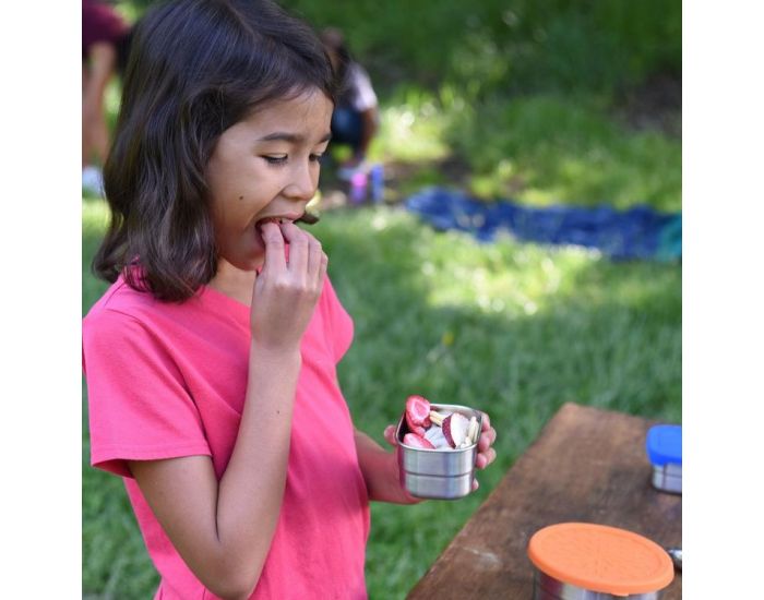 ECOLUNCH BOX Lunch Pod Inox Splash - 230ml (5)