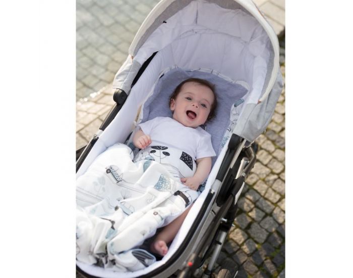 SEVIRA KIDS Chanceli�re printemps/�t� pour poussette et si�ge auto - City Boy Bleu - 0-12 mois Bleu (8)