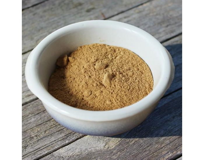 BREIZ HENNE Alo� vera - 100g 100G (2)