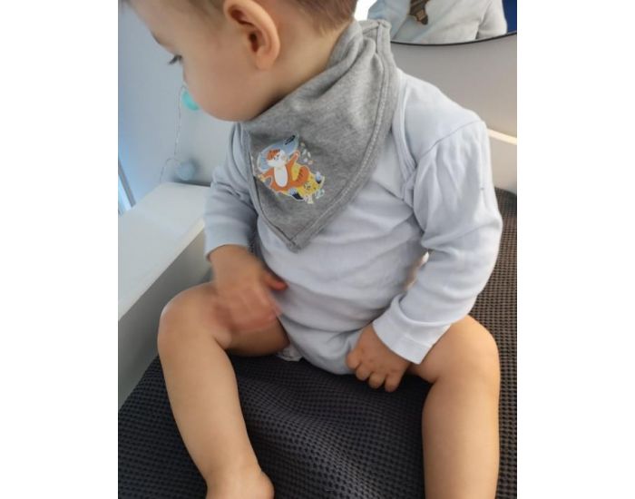 NOS POUSSINS CHRIS Bandana Gris Chat Bott (3)