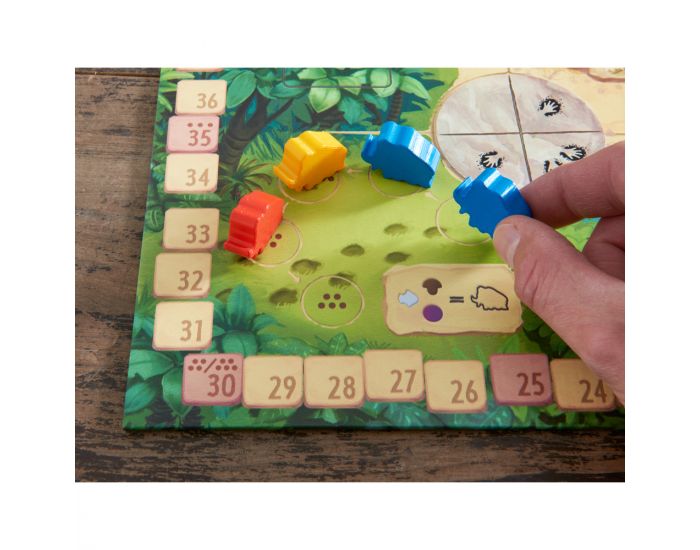 HABA Honga - Ds 8 ans (3)