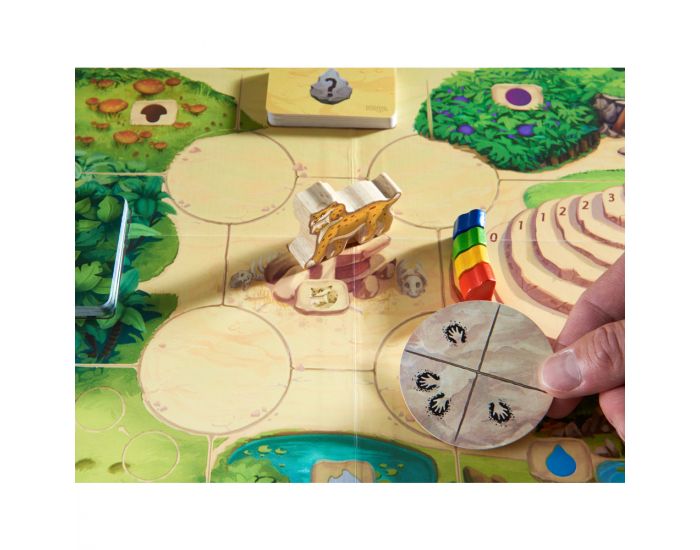 HABA Honga - Ds 8 ans (4)