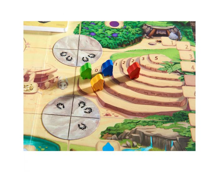 HABA Honga - Ds 8 ans (5)